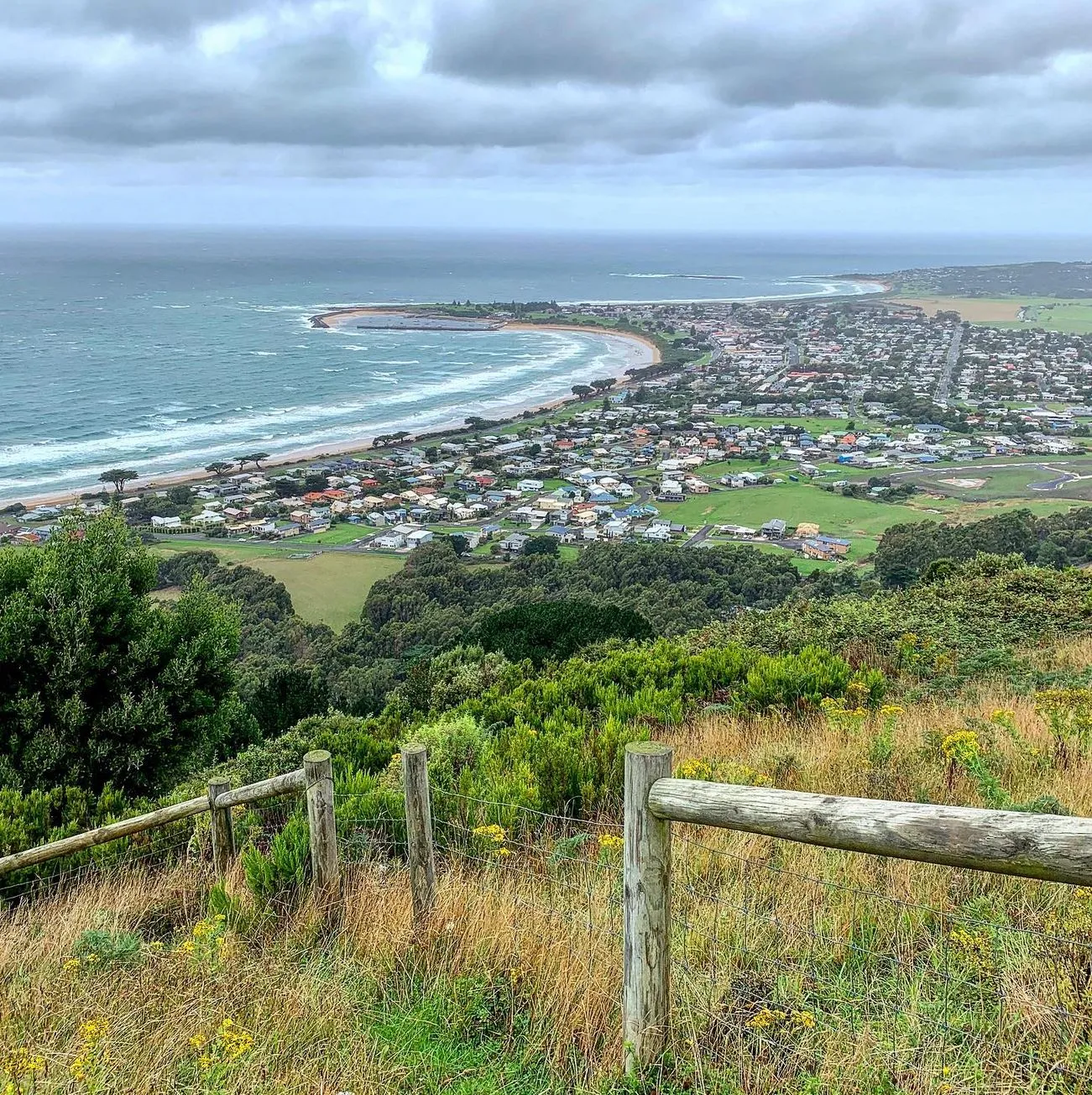 The Christian Writer | Mait's Rest Rainforest Walk: Explore the Lush Beauty of the Otways Apollo Bay