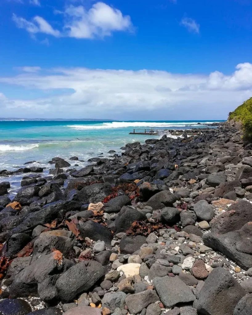 Cape Bridgewater Seal Walk