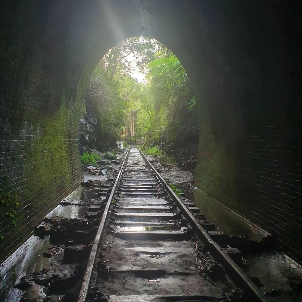 History of the Glow Worm Tunnels