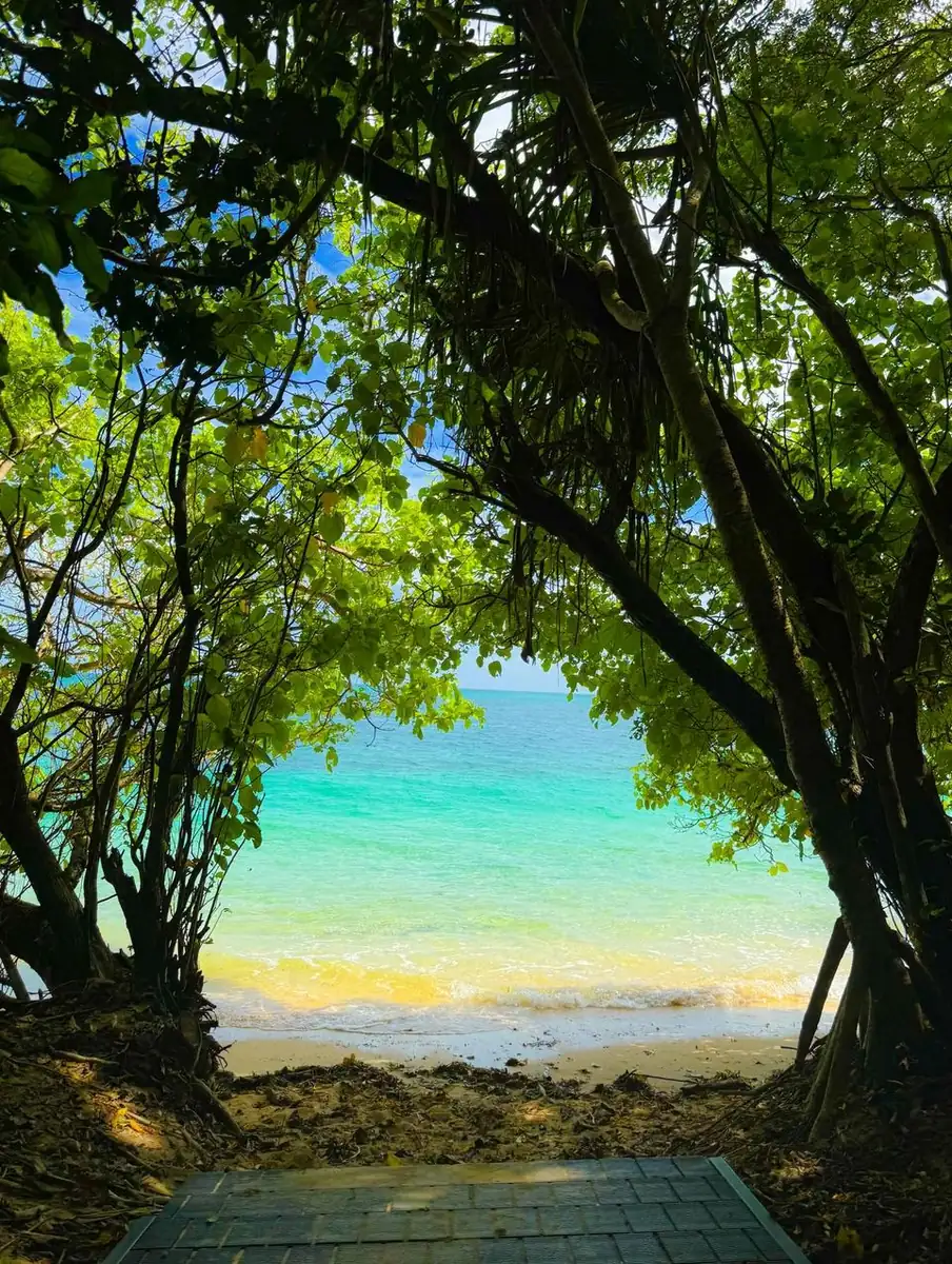 The Christian Writer | Fitzroy vs. Green Island: Which Day Trip Is Better for Families with Small Kids? My Two Cents After Years Of Organising Family Groups