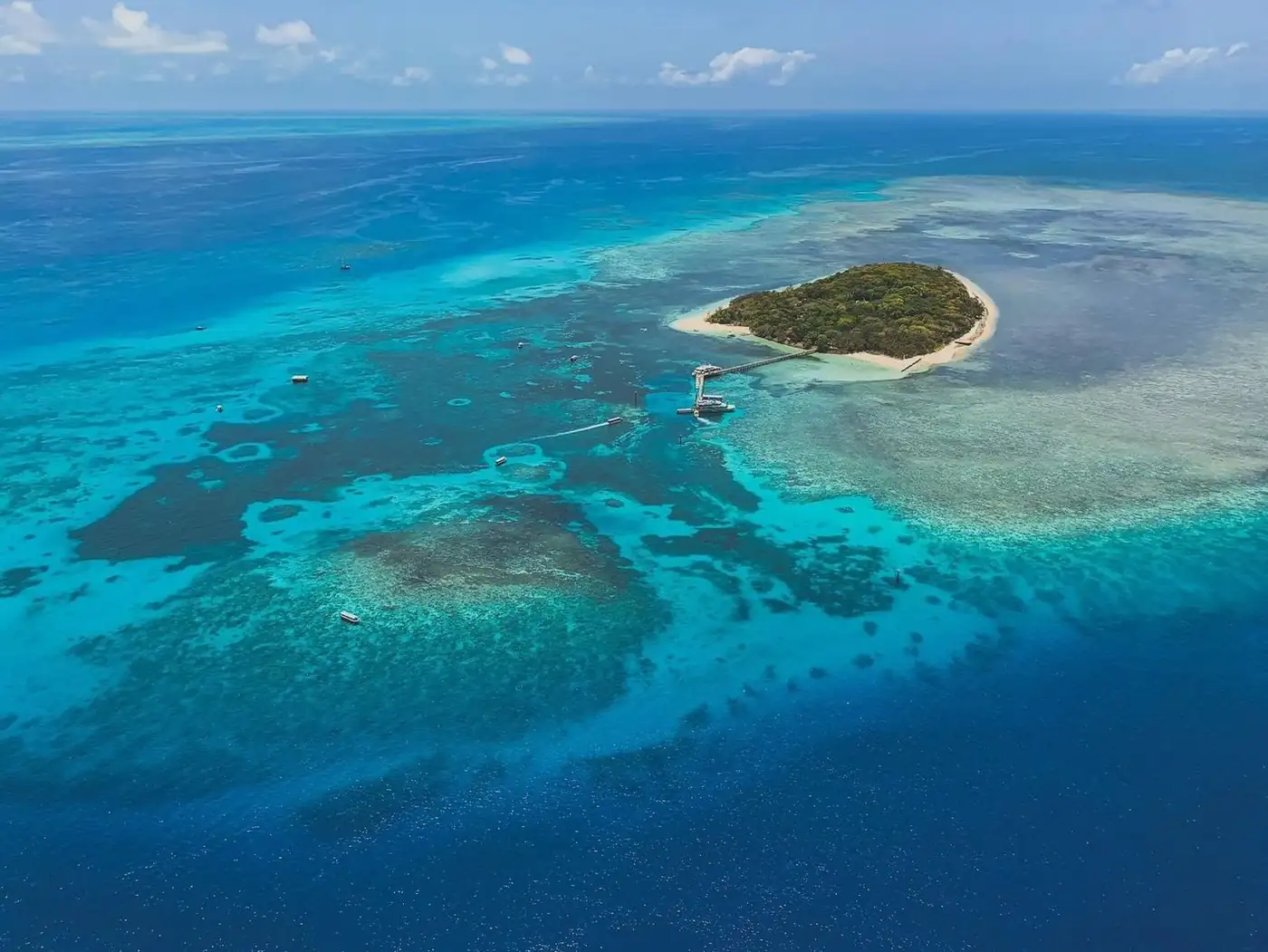 The Christian Writer | Fitzroy vs. Green Island: Which Day Trip Is Better for Families with Small Kids? Swimming Conditions, Lagoon Or Snorkel