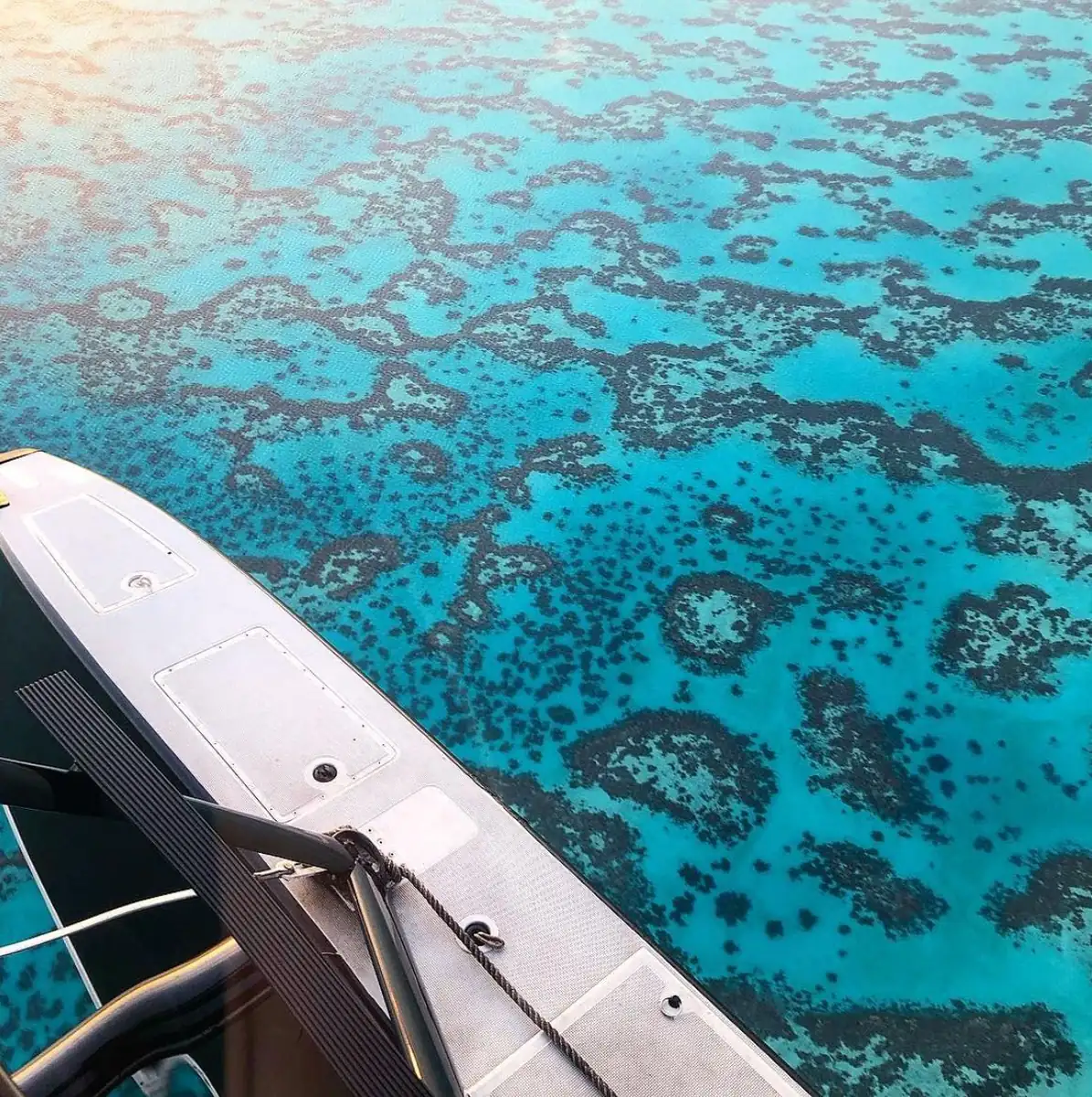 The Christian Writer | Fitzroy vs. Green Island: Which Day Trip Is Better for Families with Small Kids? What To Really Worry About With Kids On The Reef